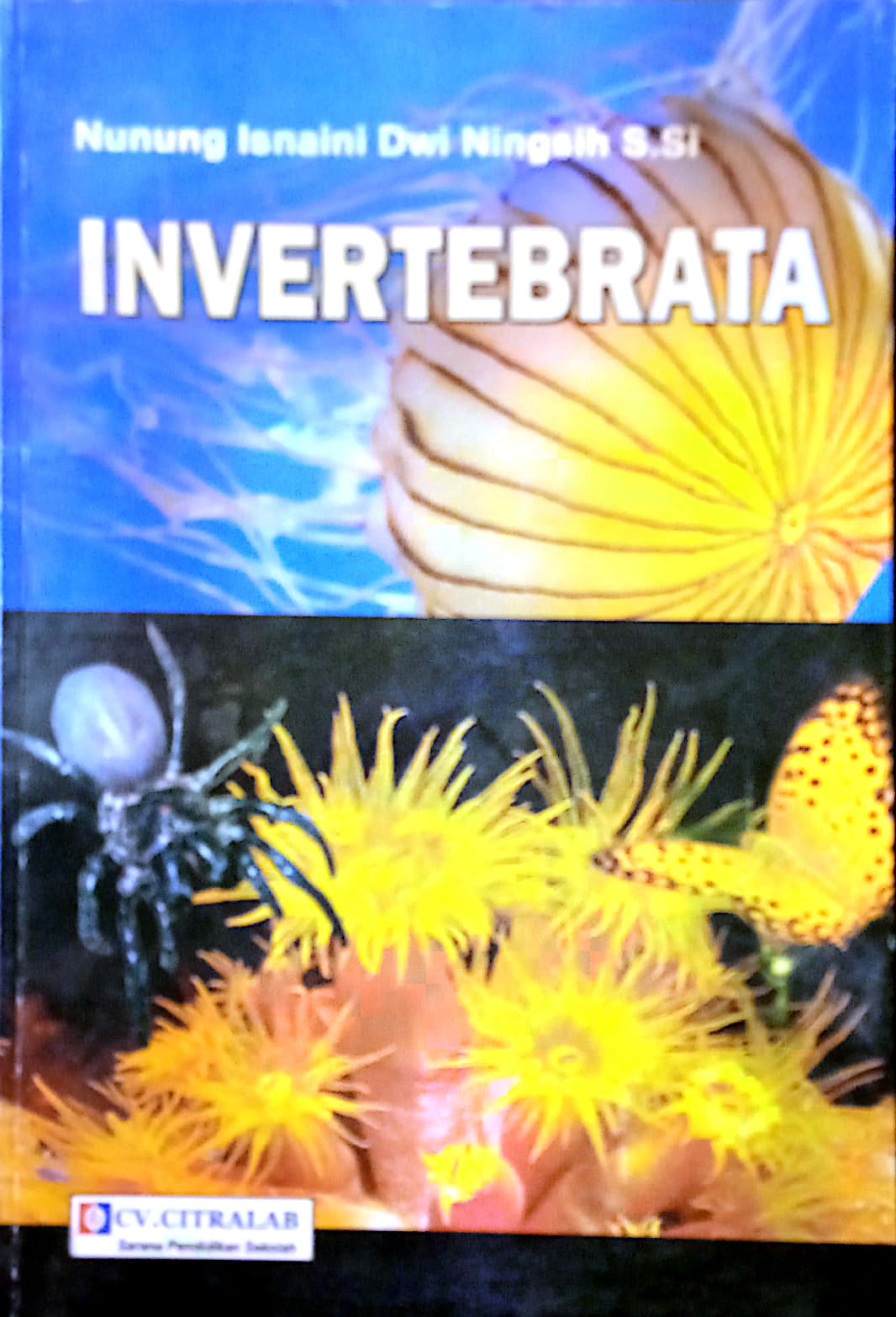 INVERTEBRATA
