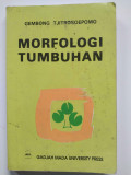 MORTOFOLOGI TUMBUHAN